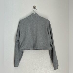 Aritzia Oversized Cropped Hoodie
